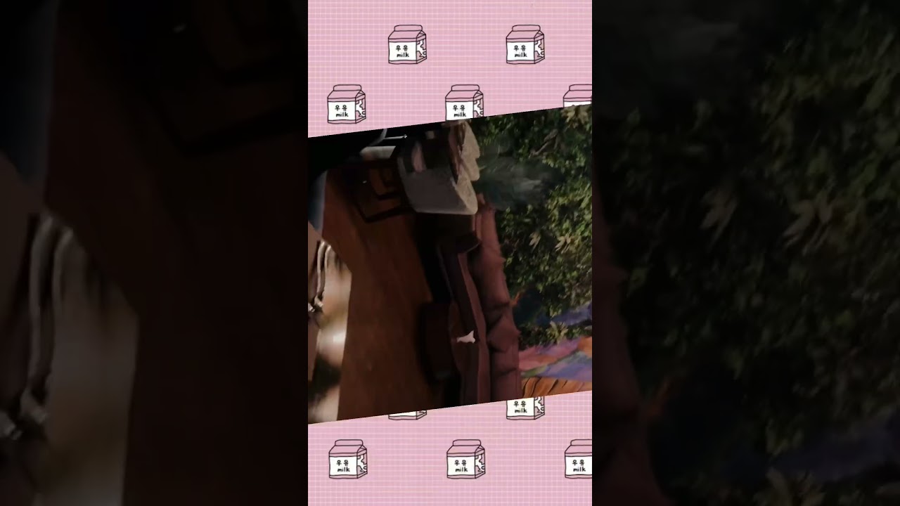 Diwali celebrations 🪔 