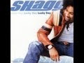 Shaggy  get my party on ft chaka khan