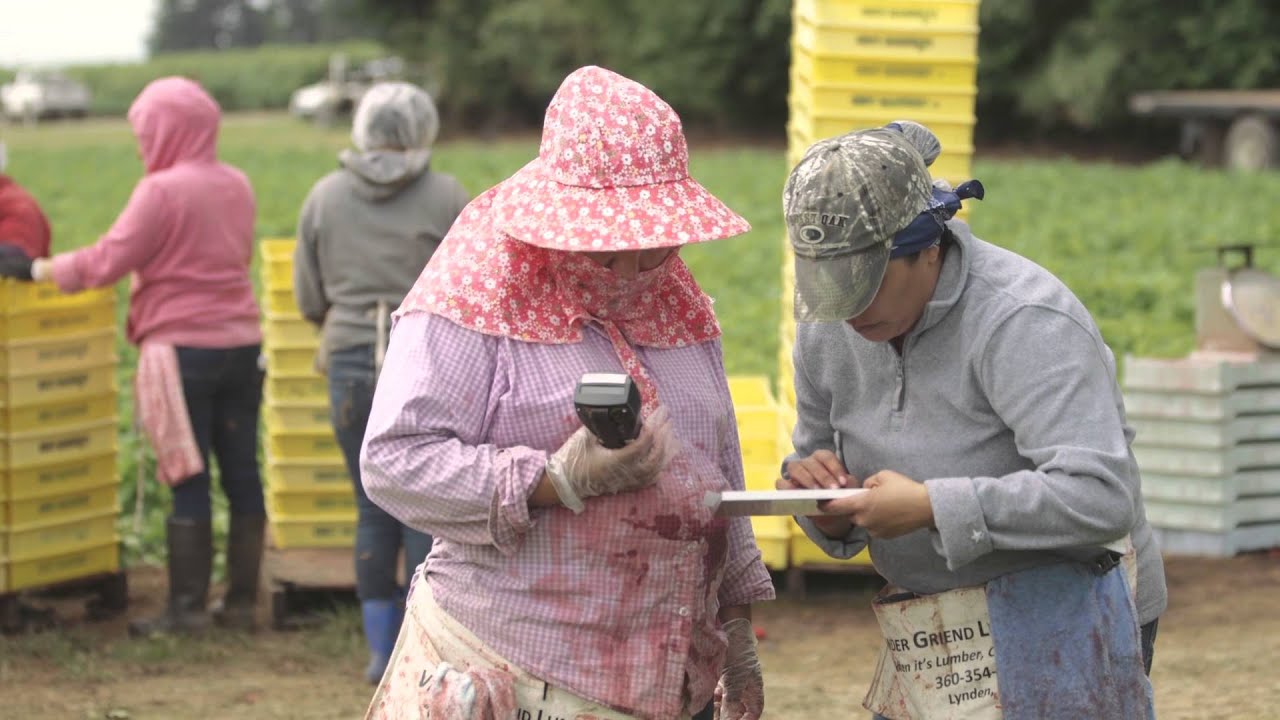 Maberry Farms YouTube