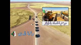 موسم الحصاد و الدرس 2026 بالجزائر .. العينة من ولاية إليزي بالصحراء الجزائرية