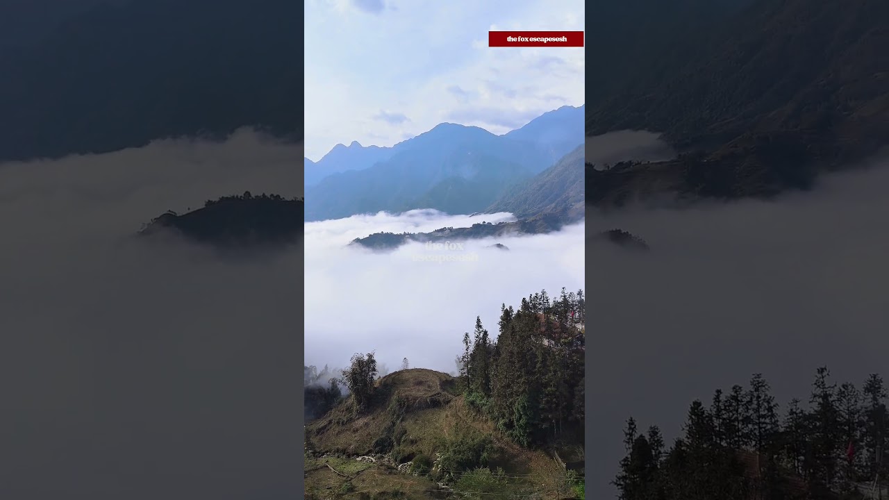 Chasing clouds, one track at a time. ☁️ | The Fox EscapeSesh