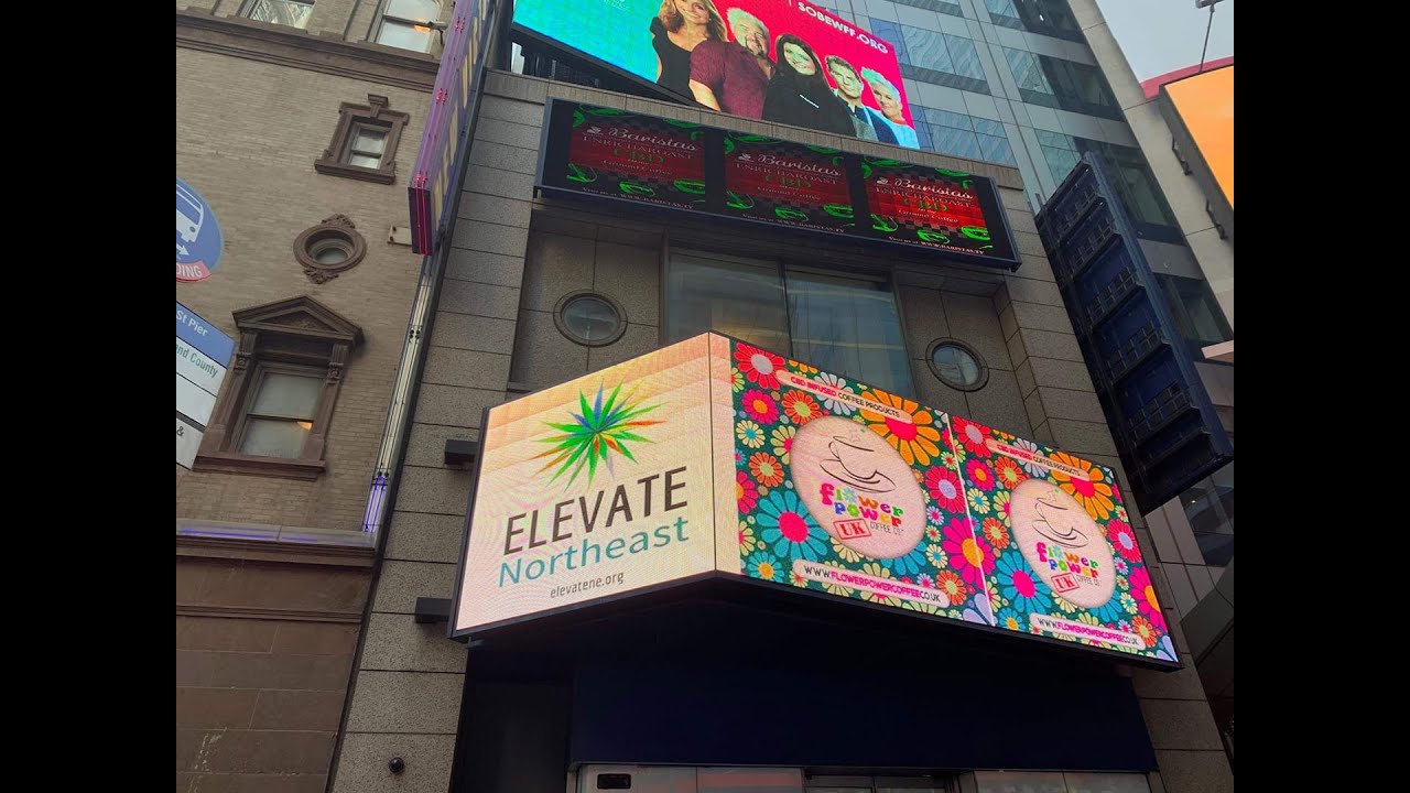 Beth Waterfall   ITW Teaser   1 20 2021