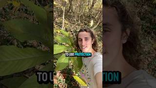 Celebrity always use protection #shorts #trees Net Worth