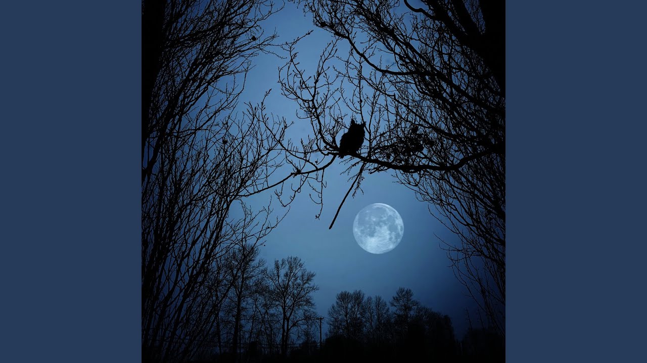 Harmony of Owls in Moonlight
