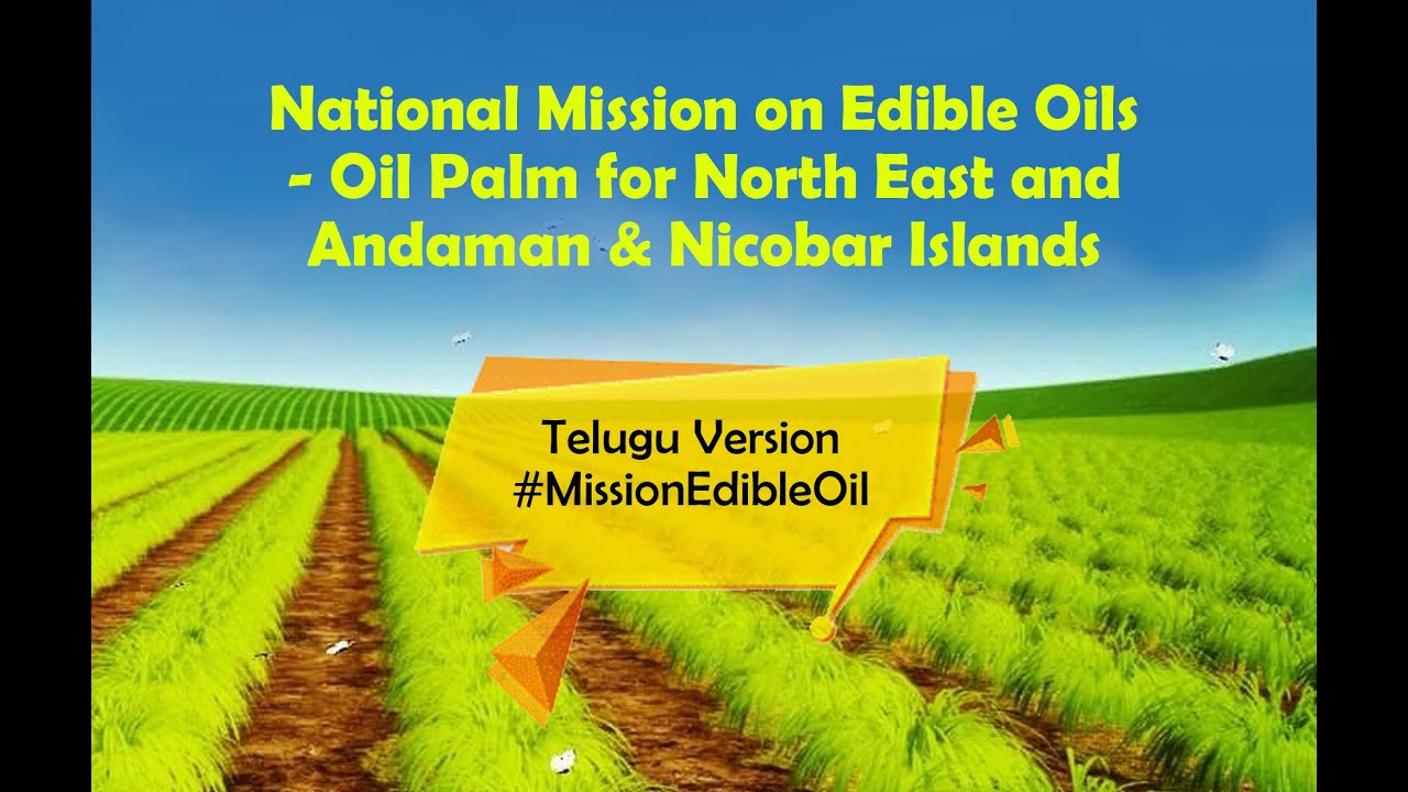 National Mission on Edible Oils Oil Palm North East and Andaman