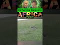 Richard e Balestrin na Africa. Chacal o Terror dos Leões #richardrasmussen #juliobalestrin #africa