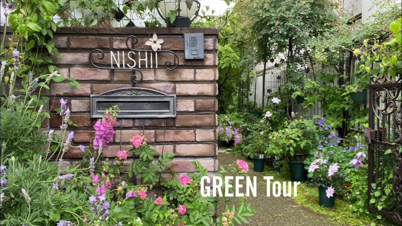 【2025年春5月下旬の個人邸7選】ブルーのお庭、絵になる景色の作り方、NHKご出演の達人のご自宅、雨上がりの絶景、石積み塀などアイディア満載な7つのお庭！ | 園芸/ガーデニング店巡り