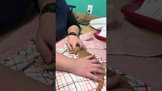 How to give a bearded dragon an injection.