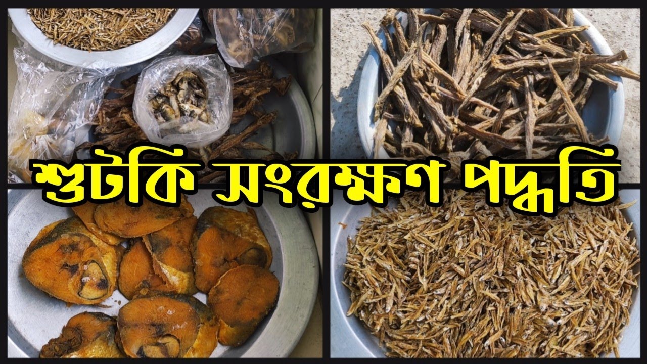 শুটকি সংরক্ষণ পদ্ধতি (এভাবে সংরক্ষণ করে বছরজুড়ে রাখতে পারবেন) বাংলাদেশী শুটকি /How to store dry fish