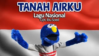 Lagu Tanah Airku untuk Anak PAUD danTK | Lagu anak nasional