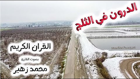 قران كريم  🙏 بصوت القارىء محمد زهير ||      Reader Muhammad Zuhair , #The_Holy_Quran