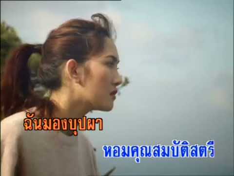 กุลสตรี​ -​ ดาวใจ​ ไพจิตร​ (KARAOKE)