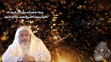 بماذا ختم الله سورة الزخرف؟