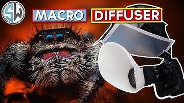 My Best Macro Image Yet With A New Flash Diffuser!