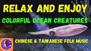 Explore the Ocean Depths: Meet the Crawling Creatures and Cephalopods (with Chinese Music)