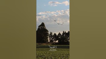 آيات من سورة النحل || الشيخ عبد الباسط عبد الصمد || تلاوة خاشعة