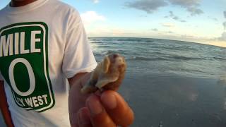 Sanibel Island, Florida