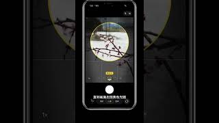 Master iPhone Camera Features &amp; Stage Lighting Tips for Perfect Shots