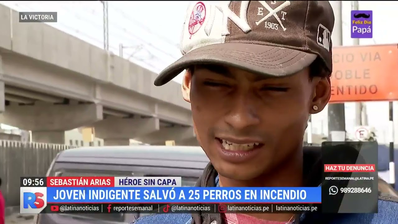 La historia de Sebastián Arias, el héroe sin capa que salvó a 25 perritos de un incendio en Gamarra