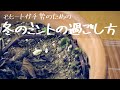 冬のミントの過ごし方 冬越し冬支度 - モヒートガチ勢のためのミントの増やし方