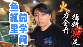 亮哥爆料水族行业内幕讲述鱼缸里的学问揭秘水族店经营的独门秘籍【亮哥养鱼】