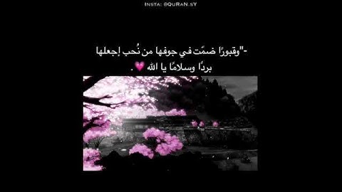 قرآن كريم بصوت القارئ إسلام صبحي {تلاوة خاشعة} حالات واتس اب / ستوريات قرآن