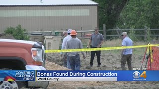 Apparent Human Bones Found At Construction Site