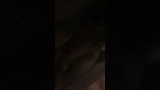 IMG 5742