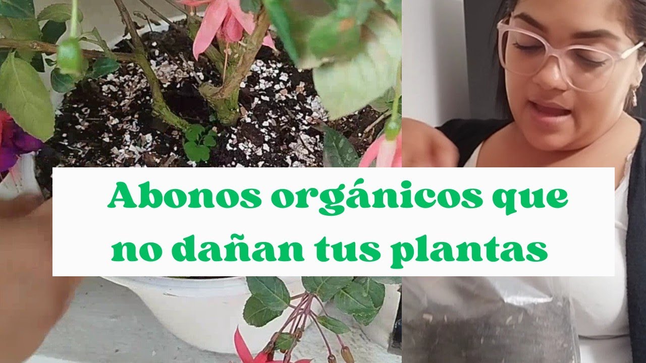 Abonos orgánicos que no dañan tus plantas con plagas y hongos
