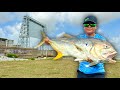 Fishing for giant jack crevalle at a floodgate