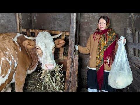 Grandma is milking the cow.  Сooking pancakes, dumplings and vatrushky in village oven