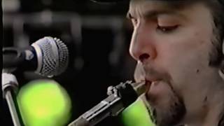 Morphine - All Wrong (Pinkpop Festival 1994)