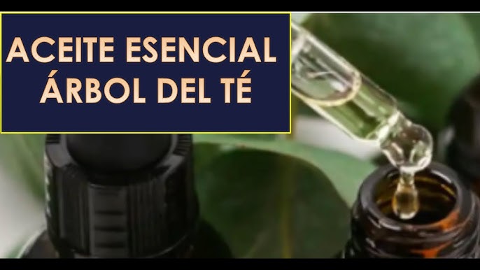 Aceite de Arból de Té – Macrobiótica Go Natural