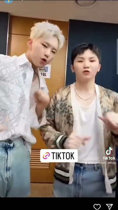 Hoshi and Woozi's New Tiktok 💖 #woozi #hoshi #svt #leaders