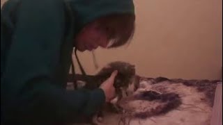 1 Boy 2 Kittens Real Footage