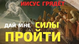 Дай мне СИЛЫ ПРОЙТИ | Последние времена - ответственное время | @Vremyaistiny2023