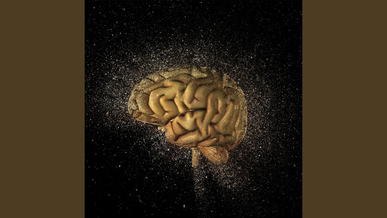 Neural Flow Alignment