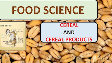 Food science structure of cereals