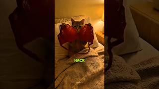 The ultimate 3AM sleep hack 🤣