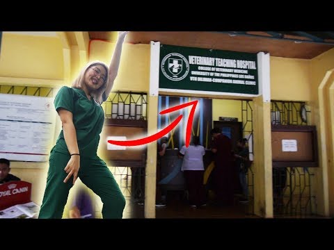 Duty time sa VET HOSPITAL at UP diliman |ArahVlogs
