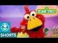 Sesame Street: Big Brother Bird | Elmo the Musical