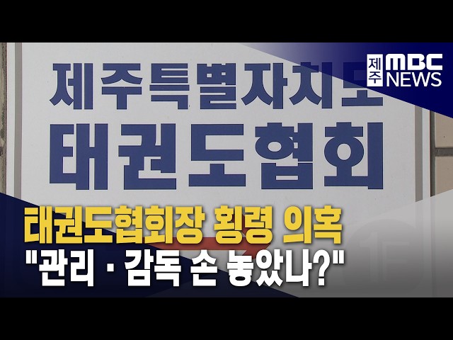 태권도협회장 횡령 의혹.."관리 감독 손 놓았다"