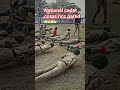 #ncc lover 🇮🇳🇮🇳🥰🥰 national cadet corps ncc pared