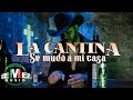 Kikin y Los Astros - La Cantina Se Mudó A Mi Casa (Video Oficial)