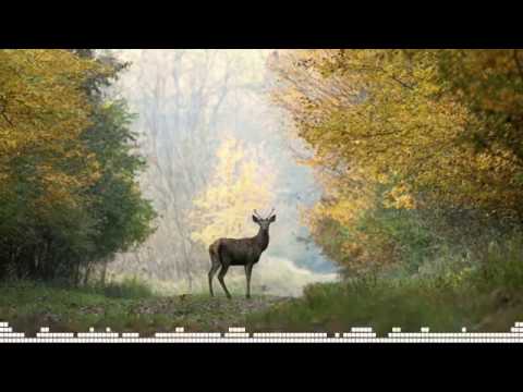 jersey shore family vacation Ticks and lyme are back — here's how to protect yourself