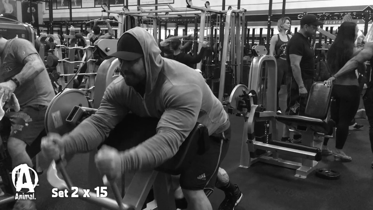 The Animal Underground: Arm Training with Frank 