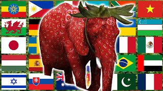 Strawberry Elephant in 70 Languages Meme