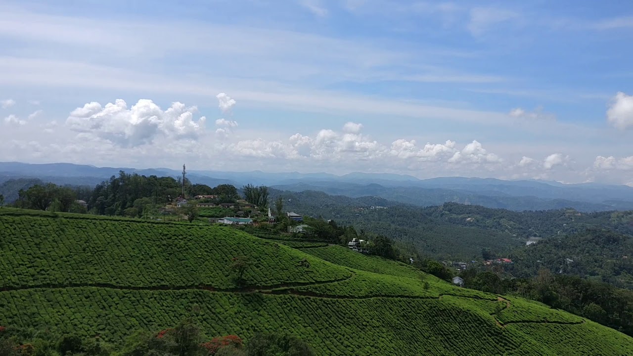 Munnar Stunning Tea Plantation Views