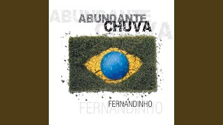 Video thumbnail of "Fernandinho - Não Há Outro (Ao Vivo)"