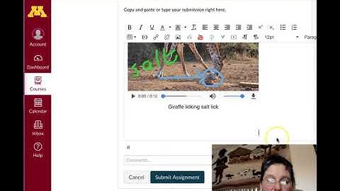 How to get the Embed Code From Seesaw and YouTube and share this in Canvas
